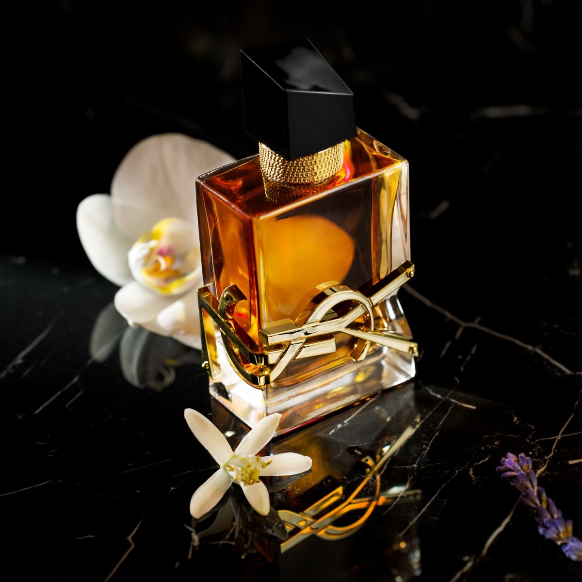 Ysl Perfume 2024 Kelsi Melitta