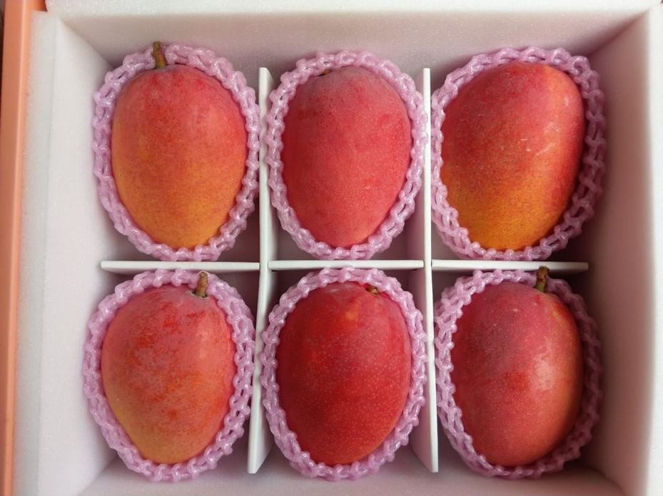 【芒果控召集】跟议员网购台湾蜜雪芒!6款当造靓芒,你爱边款?